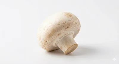 Грибы шампиньоны